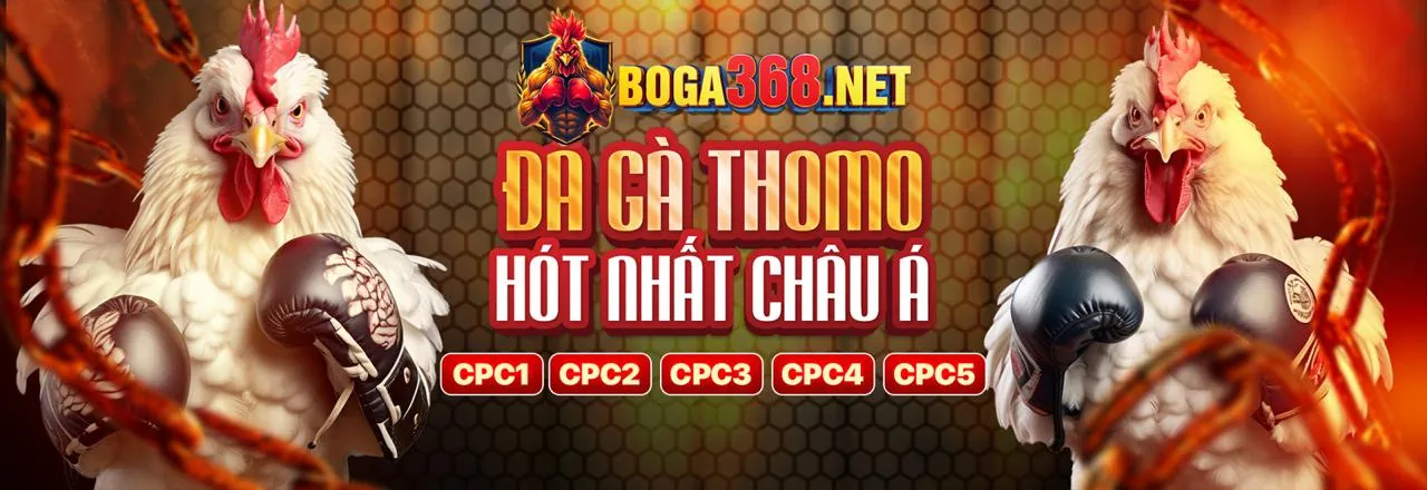 Đá Gà Trực Tuyến Oppabet Link Mới 2026